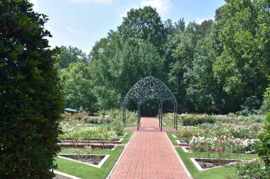 23 Temmuz 2017 'de Alabama' da Birmingham Botanik Bahçeleri 'nde görüldü.. 