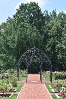 23 Temmuz 2017 'de Alabama' da Birmingham Botanik Bahçeleri 'nde görüldü.. 