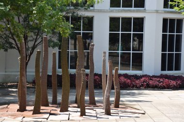 23 Temmuz 2017 'de Alabama' da Birmingham Botanik Bahçeleri 'nde görüldü.. 