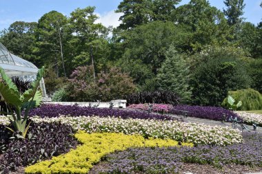 23 Temmuz 2017 'de Alabama' da Birmingham Botanik Bahçeleri 'nde görüldü.. 