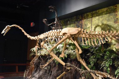 Birmingham, Alabama Temmuz 24: Mcwane bilim merkezi Birmingham, Alabama, 24 Temmuz 2017 üzerinde görüldüğü gibi. 11 Temmuz 1998 tarihinde kamuoyuna açtı.