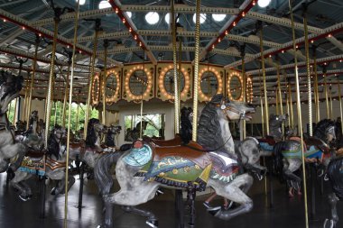 ST Paul, MINNESOTA - 26 Temmuz 2017 'de St. Paul, Minnesota' daki Como Park Hayvanat Bahçesi 'ndeki Cafesjian' s Atlıkarınca.