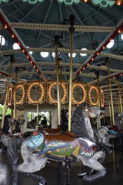 ST Paul, MINNESOTA - 26 Temmuz 2017 'de St. Paul, Minnesota' daki Como Park Hayvanat Bahçesi 'ndeki Cafesjian' s Atlıkarınca.