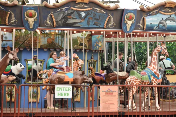 BIRMINGHAM, AL - 22 Temmuz 2017 'de Birmingham Hayvanat Bahçesi' nde görülen Atlıkarınca.