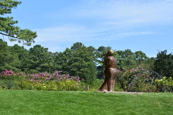 23 Temmuz 2017 'de Alabama' da Birmingham Botanik Bahçeleri 'nde görüldü.. 