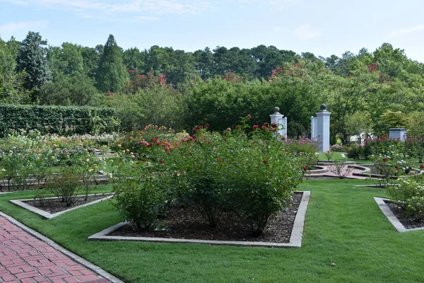 Birmingham Jul Birmingham Botaniska Trädgårdar Alabama Sett Den Juli 2017 — Stockfoto