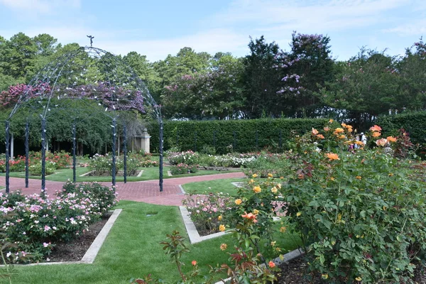 23 Temmuz 2017 'de Alabama' da Birmingham Botanik Bahçeleri 'nde görüldü.. 