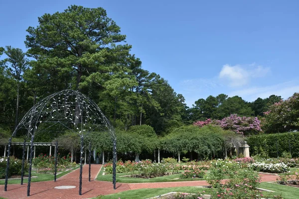 23 Temmuz 2017 'de Alabama' da Birmingham Botanik Bahçeleri 'nde görüldü.. 
