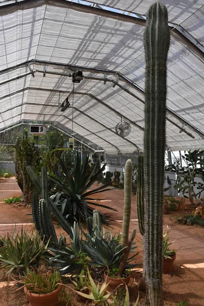 BIRMINGHAM, AL - 23 Temmuz 2017 'de Alabama' daki Birmingham Botanik Bahçeleri 'nde sera. 