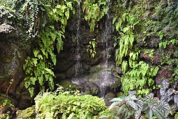 Birmingham Jul Conservatório Dos Jardins Botânicos Birmingham Alabama Como Visto — Fotografia de Stock