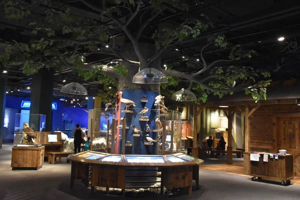 Birmingham, Alabama Temmuz 24: Mcwane bilim merkezi Birmingham, Alabama, 24 Temmuz 2017 üzerinde görüldüğü gibi. 11 Temmuz 1998 tarihinde kamuoyuna açtı.