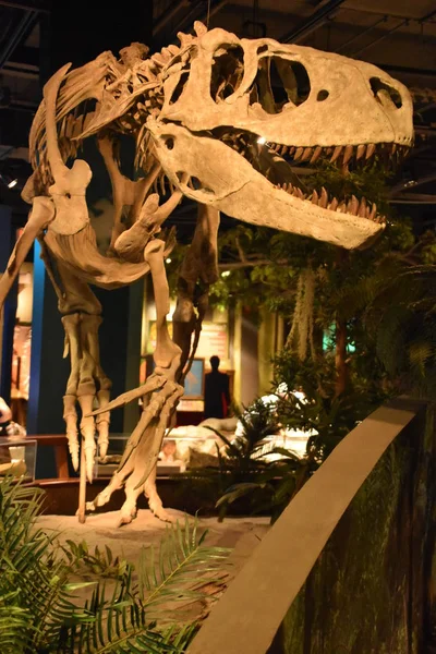 Birmingham, Alabama Temmuz 24: Mcwane bilim merkezi Birmingham, Alabama, 24 Temmuz 2017 üzerinde görüldüğü gibi. 11 Temmuz 1998 tarihinde kamuoyuna açtı.