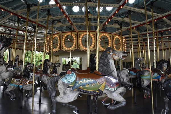 Paul Minnesota Jul Carrousel Cafesjian Zoo Conservatoire Como Park Paul — Photo