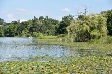 Minneapolis, Minnesota 'da Göller Zinciri