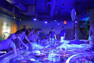 BLOOMINGTON, MN - JUL 29: SeaLife Aquarium at Mall of Americas in Bloomington, Minneapolis, as seen on July 29, 2017. clipart