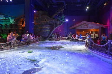 BLOOMINGTON, MN - 29 Temmuz 2017 'de Bloomington, Minneapolis' teki Mall of Americas 'taki Deniz Yaşamı Akvaryumu.