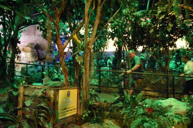 Bloomington, Minnesota - Tem 27: Sealife Mall of America Bloomington, Minnesota, 27 Temmuz 2017 üzerinde görülen akvaryumda. Leaseable alanı açısından en büyük ikinci alışveriş merkezi ve toplam kullanım alanı açısından Amerika Birleşik Devletleri'ndeki en büyük alışveriş merkezi olan.