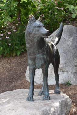 ST Paul, MN - 30 Temmuz 2017 'de St. Paul, Minnesota Hayvanat Bahçesi' nde görüldü..