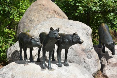 ST Paul, MN - 30 Temmuz 2017 'de St. Paul, Minnesota Hayvanat Bahçesi' nde görüldü..