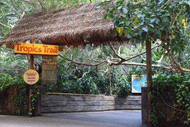 ST Paul, MN - 30 Temmuz 2017 'de St. Paul, Minnesota Hayvanat Bahçesi' nde görüldü..