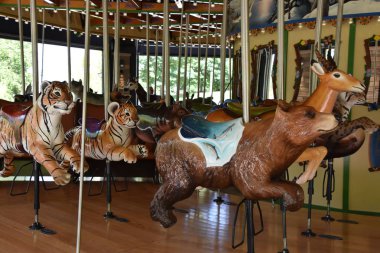 ST Paul, MUL - 30 Temmuz 2017 'de St. Paul' deki Minnesota Hayvanat Bahçesinde görülen Atlıkarınca.