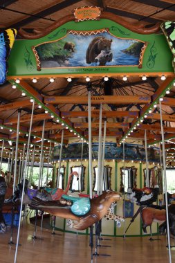 ST Paul, MUL - 30 Temmuz 2017 'de St. Paul' deki Minnesota Hayvanat Bahçesinde görülen Atlıkarınca.