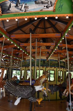 ST Paul, MUL - 30 Temmuz 2017 'de St. Paul' deki Minnesota Hayvanat Bahçesinde görülen Atlıkarınca.