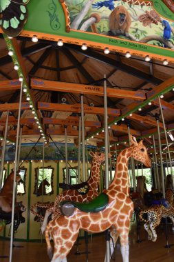 ST Paul, MUL - 30 Temmuz 2017 'de St. Paul' deki Minnesota Hayvanat Bahçesinde görülen Atlıkarınca.