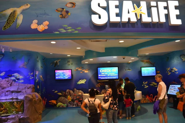 Bloomington, Minnesota - Tem 27: Sealife Mall of America Bloomington, Minnesota, 27 Temmuz 2017 üzerinde görülen akvaryumda. Leaseable alanı açısından en büyük ikinci alışveriş merkezi ve toplam kullanım alanı açısından Amerika Birleşik Devletleri'ndeki en büyük alışveriş merkezi olan.