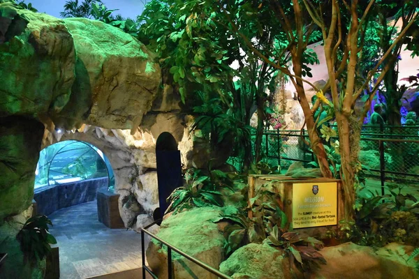 Bloomington, Minnesota - Tem 27: Sealife Mall of America Bloomington, Minnesota, 27 Temmuz 2017 üzerinde görülen akvaryumda. Leaseable alanı açısından en büyük ikinci alışveriş merkezi ve toplam kullanım alanı açısından Amerika Birleşik Devletleri'ndeki en büyük alışveriş merkezi olan.