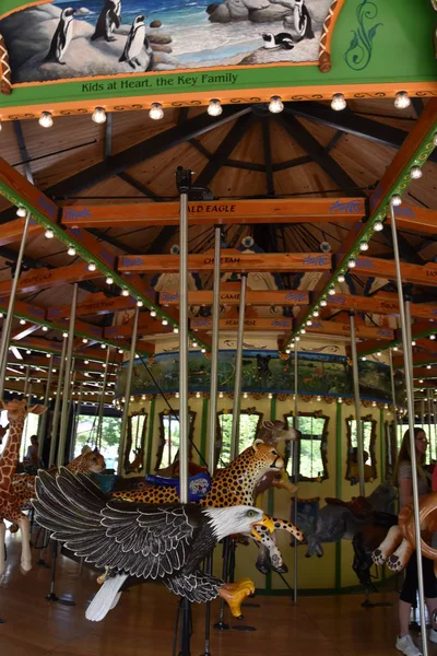 ST Paul, MUL - 30 Temmuz 2017 'de St. Paul' deki Minnesota Hayvanat Bahçesinde görülen Atlıkarınca.