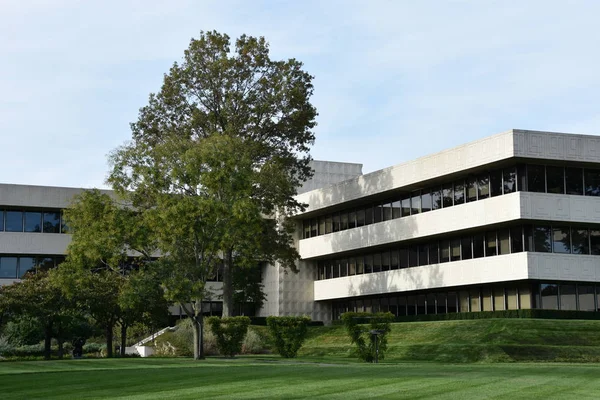 Kauf Okt Donald Kendall Sculpture Gardens Purchase New York Gesehen — Stockfoto