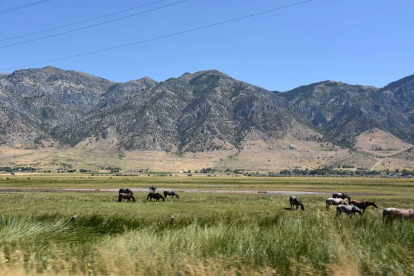 Utah 'tan Idaho' ya giderken manzara.