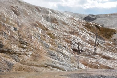 Palet bahar Yellowstone Milli Parkı