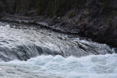 Üst Falls Grand Canyon Yellowstone Milli Parkı