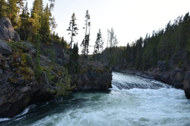 Üst Falls Grand Canyon Yellowstone Milli Parkı