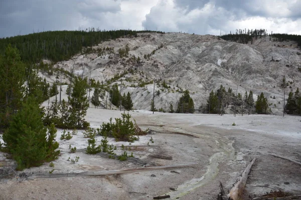 Parque Nacional Yellowstone Wyoming — Foto de Stock