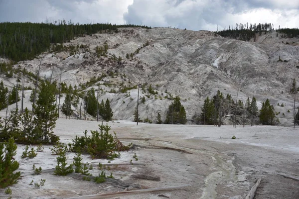 Yellowstone National Park Wyoming — Stock Photo, Image