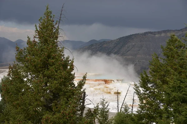 Mammoth Hot Springs Yellowstone National Park — Stock Photo, Image