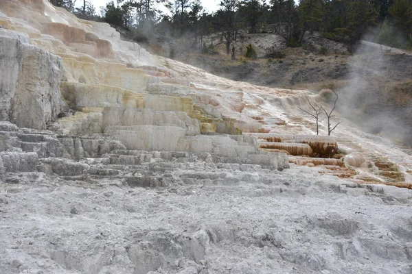 Palette Spring Yellowstone National Park — Stock Photo, Image