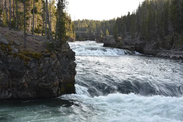 Obere Wasserfälle Des Grand Canyon Des Yellowstone Nationalparks — Stockfoto