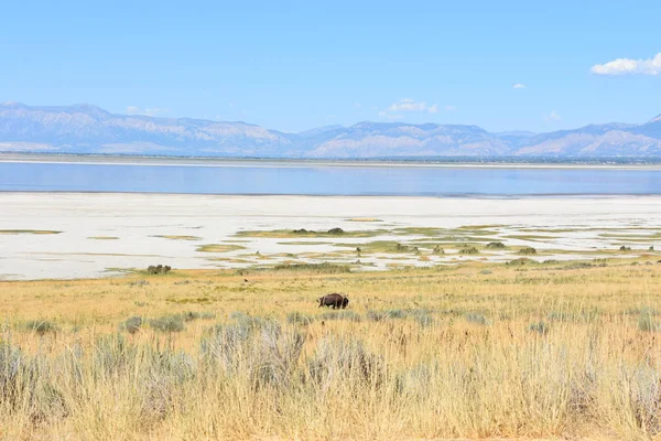 Utah 'taki Antilop Adası Eyalet Parkı