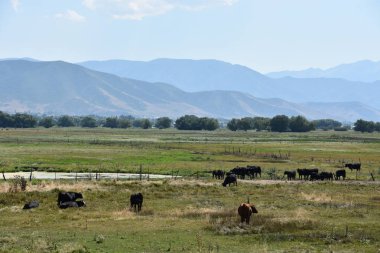 PARK CITY, UT - 27 AUG: Utah 'ın Park City kasabası civarında, 27 Ağustos 2016' da görüldüğü üzere.
