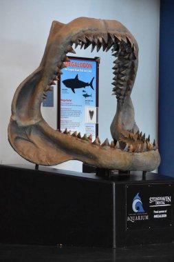 Draper, Ut - Ağustos 29: Loveland yaşayan gezegen akvaryum Draper, Utah, 29 Ağustos 2017 üzerinde görüldüğü gibi. Şu anda 4.500 hayvanlar 550 tür temsil eden evler.