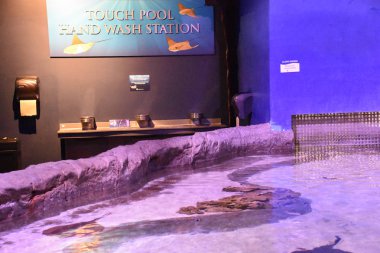 Draper, Ut - Ağustos 29: Loveland yaşayan gezegen akvaryum Draper, Utah, 29 Ağustos 2017 üzerinde görüldüğü gibi. Şu anda 4.500 hayvanlar 550 tür temsil eden evler.