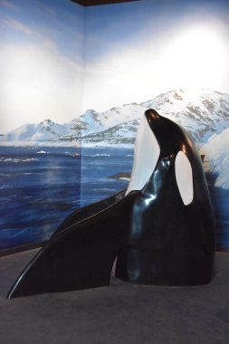 Draper, Ut - Ağustos 29: Loveland yaşayan gezegen akvaryum Draper, Utah, 29 Ağustos 2017 üzerinde görüldüğü gibi. Şu anda 4.500 hayvanlar 550 tür temsil eden evler.