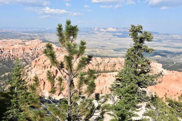 Vista Bryce Point Parque Nacional Bryce Canyon Utah — Fotografia de Stock