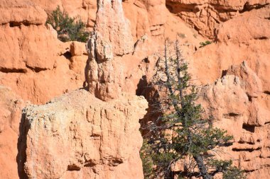Fairyland noktası Utah Bryce Canyon Milli Parkı