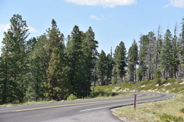 Utah Bryce Canyon Milli Parkı, Ponderosa'yı noktadan görünüm