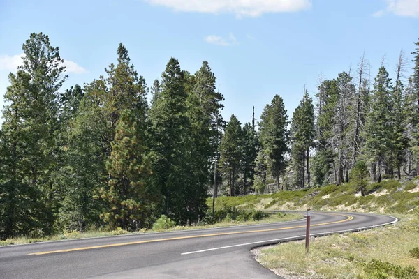 Blick Vom Ponderosa Punkt Bryce Canyon Nationalpark Uta — Stockfoto